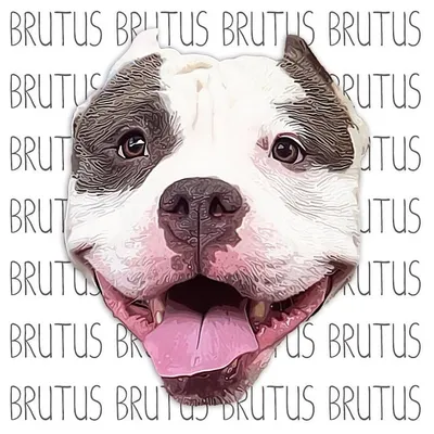 Brutus Patutus profile