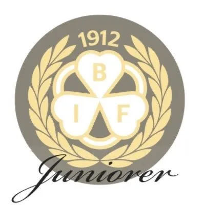 Brynäs Juniorer profile
