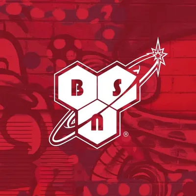 BSN profile