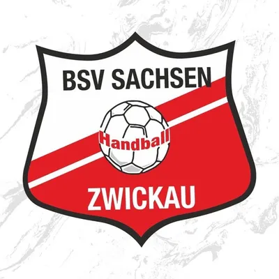 BSV Sachsen Zwickau profile