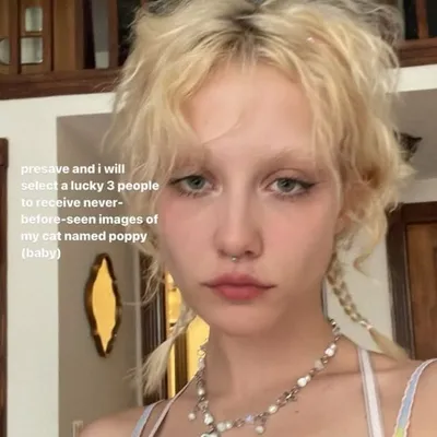 lee profile