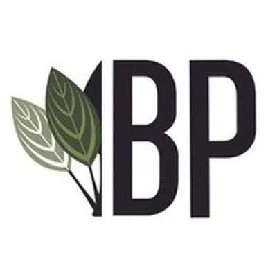Buce Plant profile