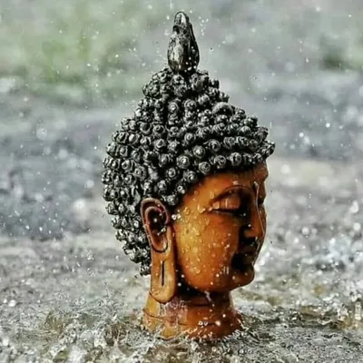 Buddhism_ambedkar profile