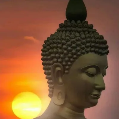Namo_Buddhaye🙏 profile