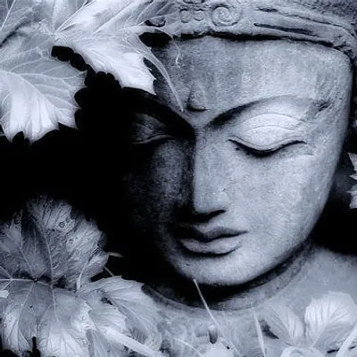 Inner peace within buddha..๐ profile