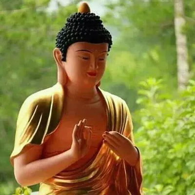 โ ๐ Buddhist_World358 ๐ โ profile