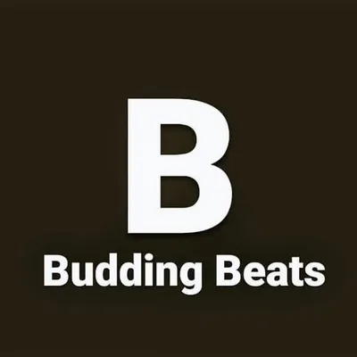 Budding Beats India profile