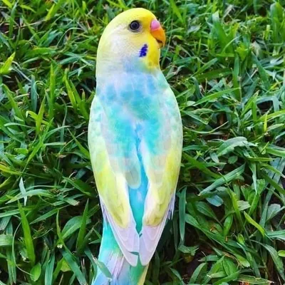 đ
±đđ
łđ
¶đ
žđ
Žđ đ
±đđ
Žđ
Žđ
łđ
Žđ đ
Žđ
œđđ
Žđđđ
°đ
žđ
œđ
Œđ
Žđ
œđ profile