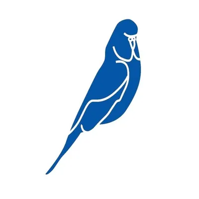 Budgy Smuggler™ profile