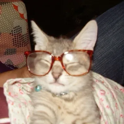 McKenzie Elliott 。.*☆ profile