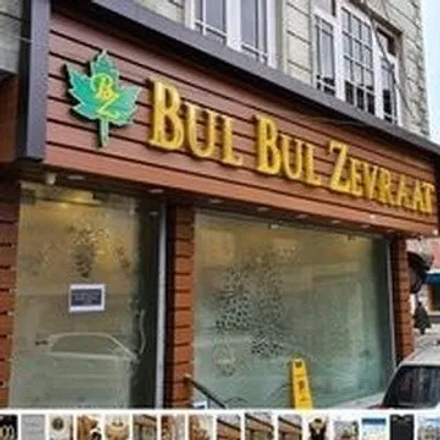 BulBul Zevraat profile