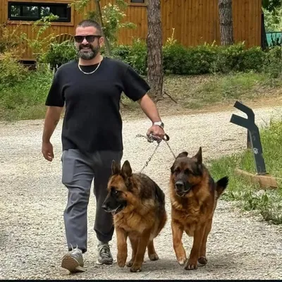 Bülent Şakrak profile