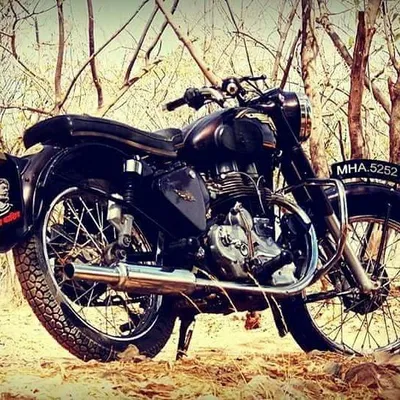 Bullet lover profile