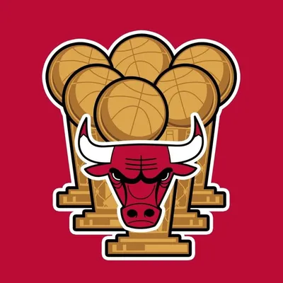 Chicago Bulls Archive profile