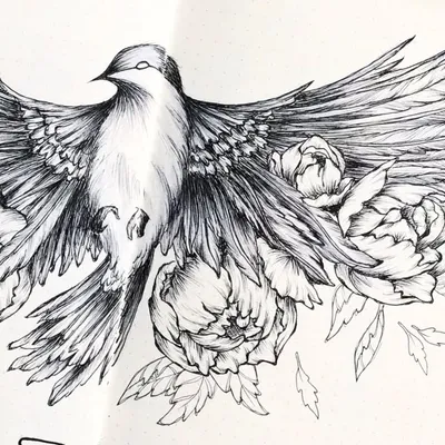 Kimmy | Bullet Journalist profile