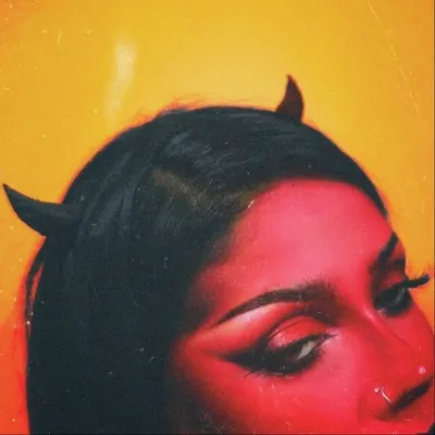 ⠀⠀⠀⠀⠀⠀⠀ ⠀⠀ N O O K I E profile