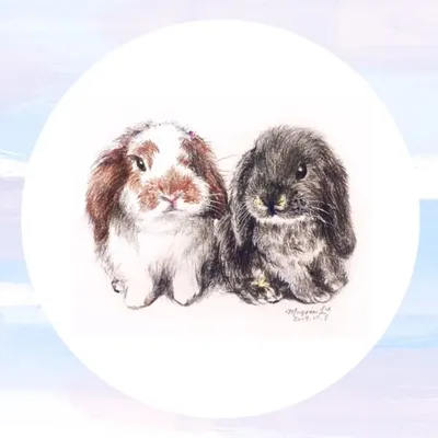 ๐๐๐๐Eฬ & ๐๐๐๐๐ profile