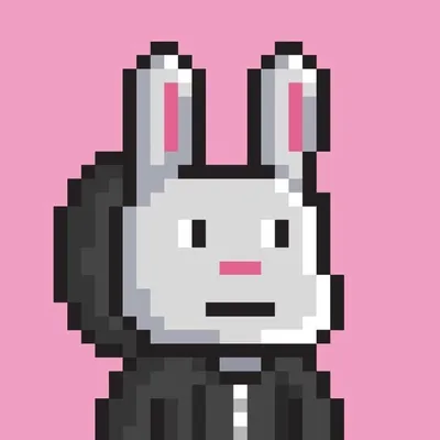 Bunny Warriors profile