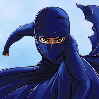 Burka Avenger profile