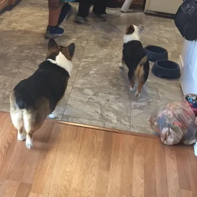 Loaves🍑 profile
