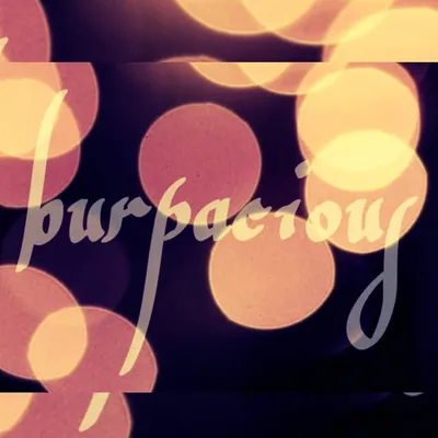 burpacious profile