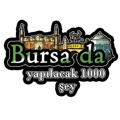 bursadayapilacak1000sey profile