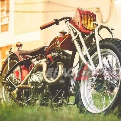 BUSI CUSTOM MOTORCYCLE profile
