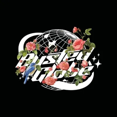 Busted Globe profile