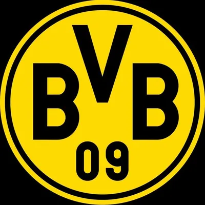 Borussia Dortmund profile
