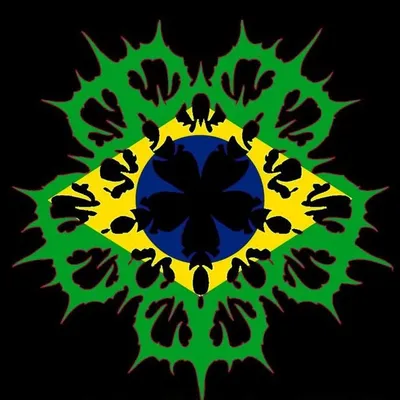 BVB ARMY BRAZIL ๐ง๐ท profile