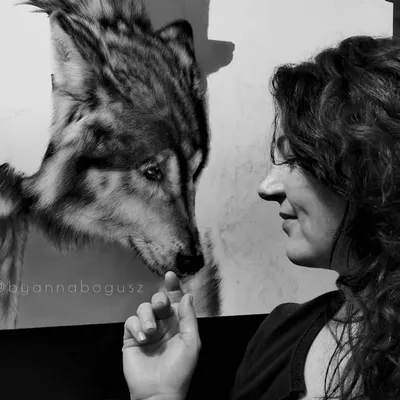 Anna Bogusz Fine Art profile