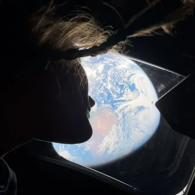 M. profile
