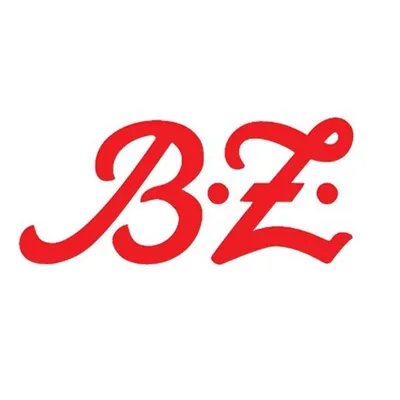 B.Z.-Berlin profile