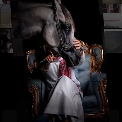 𓍲. ᖴᗩᕼᗩᗪ profile