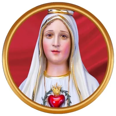 Caballeros de la virgen profile
