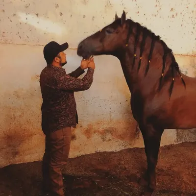 Caballos Nacho profile