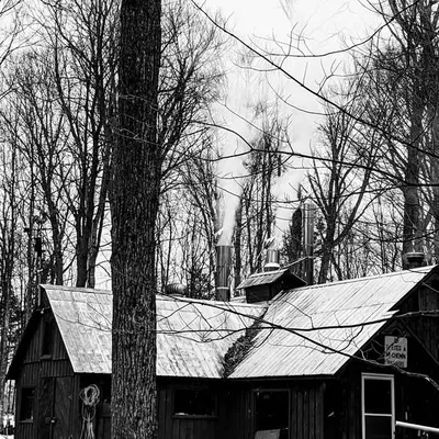 Cabane à mi-chemin du paradis profile