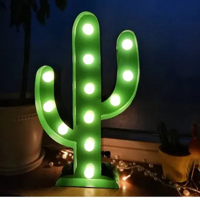 Cactus & Suculentas profile