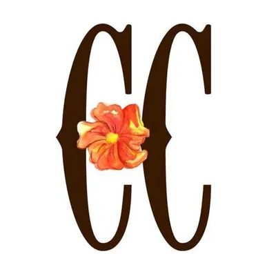 Cactus Creek I Clothing, Home, Gifts + Vintage profile