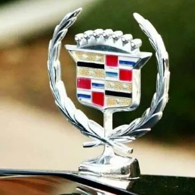 Cadillac Life ๐ profile