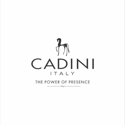 Cadiniindia profile
