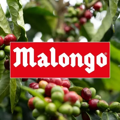 Malongo profile