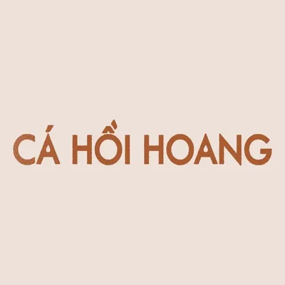 Cá Hồi Hoang profile