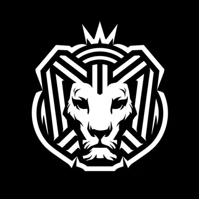 Cairokee profile