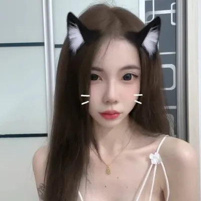 小菜心🥬 profile
