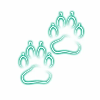 Calcetines Pets ® | Medias y Cobijas personalizadas profile