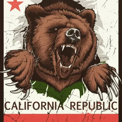 California Libertarian profile