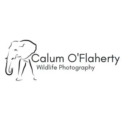 Calum O'Flaherty Photography profile