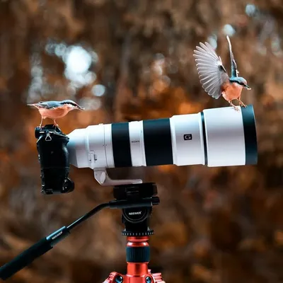 Camera Gear profile