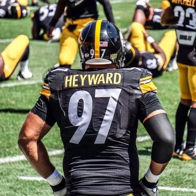 Cam Heyward profile